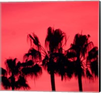Framed Neon Palm Trees III