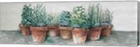 Framed Pots of Herbs II Cottage v2
