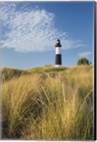 Framed Big Sable Point Lighthouse I