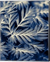 Framed Navy Blue Leaves