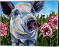 Framed Pigs and Peonies