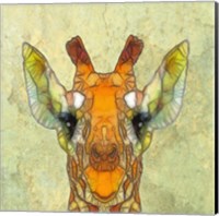 Framed Abstract Giraffe Calf