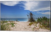 Framed Dune Trail