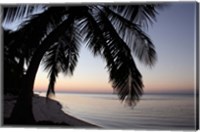 Framed Palm Tree Sunset