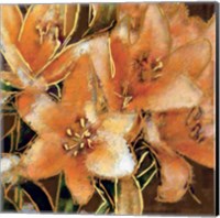 Framed 'Apricot Dream I' border=