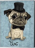 Framed Gentle Pug