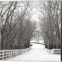 Framed Country Lane in Winter