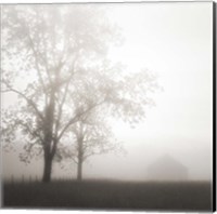 Framed Farmland, Appalachia, 2013