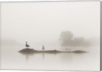 Framed Melton Lake