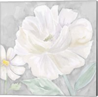 Framed 'Peaceful Repose Floral on Gray IV' border=