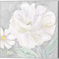 Framed 'Peaceful Repose Floral on Gray IV' border=