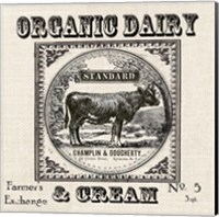 Framed 'Farmhouse Grain Sack Label Cow' border=