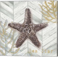 Framed Gray Gold Chevron Star Fish