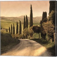 Framed Country Lane, Tuscany