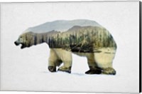 Framed Arctic Polar Bear