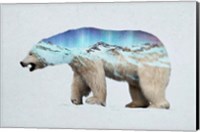 Framed Arctic Polar Bear