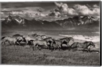 Framed Mountain Range Mavericks