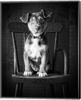 Framed Mutt Black & White