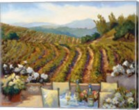 Framed Vineyards to Mount St. Helena