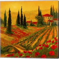 Framed 'Poppies of Toscano I' border=
