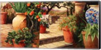 Framed Turo Tuscan Orange
