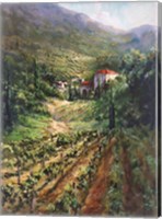 Framed Tuscany Vineyard