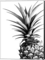 Framed Pineapple (BW)