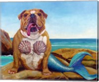 Framed Mermaid Dog