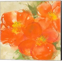 Framed Tangerine Poppies II