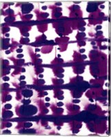 Framed Parallel Purple Mauve