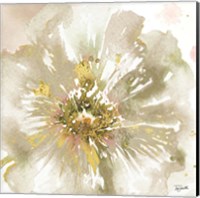 Framed 'Neutral Watercolor Poppy Close Up I' border=