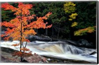 Framed Autumn, Lower Rosseau Falls