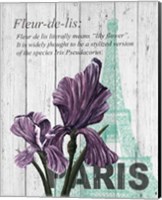 Framed Paris Iris