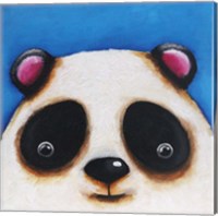 Framed Panda Bear