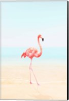 Framed Flamingo on the Beach II