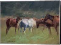 Framed Southern Horses