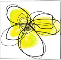 Framed 'Yellow Petals Two' border=