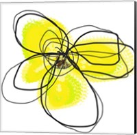 Framed Yellow Petals Two
