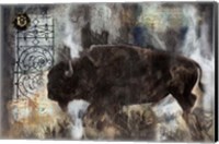 Framed Buffalo