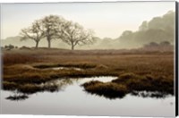 Framed Island Oak Trees