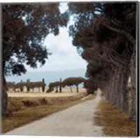 Framed Tuscan Fatorria Strada No. 2