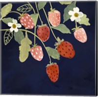 Framed 'Fresh Fruit I' border=