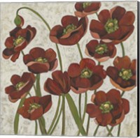 Framed 'Sangria Poppies I' border=