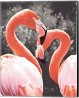 Framed Flamingo II on BW