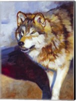 Framed Wolf Study II