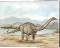Framed Dinosaur Illustration V