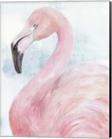 Framed Pink Flamingo Portrait II