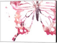 Framed Butterfly Imprint IV