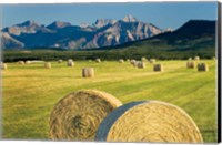 Framed Waterton Hay Bales