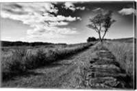 Framed Stone Wall